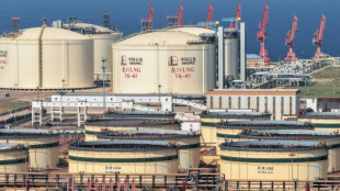China emissions fell in Q2 as Iran war pared oil use: analysis
