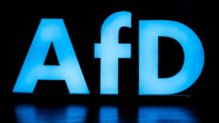 Bundestag hebt Immunit&auml;t von AfD-Abgeordneten Bystron und Gnauck auf
