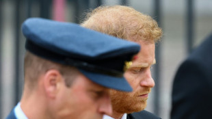 Le prince Harry &agrave; la t&eacute;l&eacute;vision pour d&eacute;fendre ses m&eacute;moires &agrave; sensation sur la famille royale