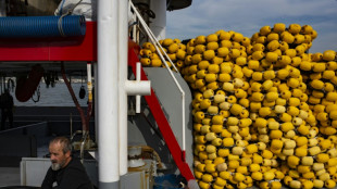 El B&oacute;sforo se queda sin peces por la sobrepesca, la contaminaci&oacute;n y el tr&aacute;fico mar&iacute;timo