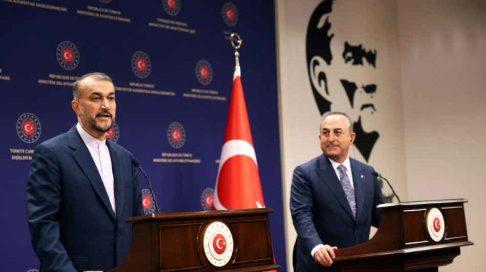 Iran hails thaw in Turkey's ties with Syria 