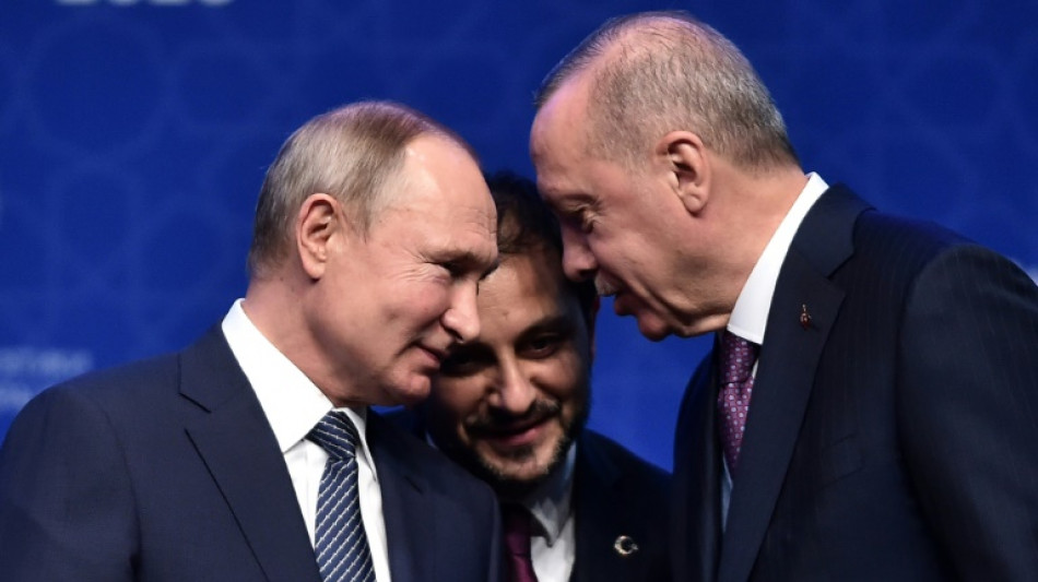 Erdogan quiere aprovechar crisis de Ucrania para cobrar impulso dentro y fuera de Turqu&iacute;a