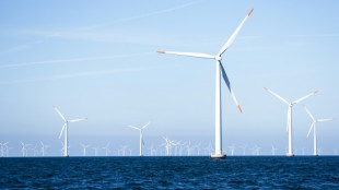 Danish firm Orsted halts huge UK offshore wind farm project