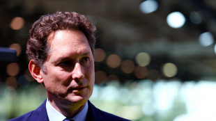 Elkann, '2024 deludente per Stellantis, ad entro met&agrave; 2025'