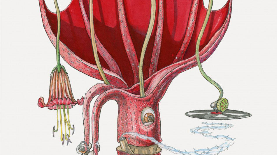 La poesia del cinema d'animazione, torna Imaginaria