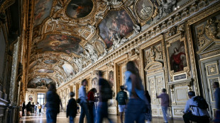 After a year in turmoil, the Louvre faces uncertain future