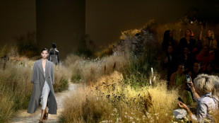 Ativista dos direitos dos animais invade desfile da Herm&egrave;s em Paris