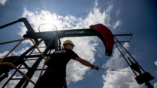 Il petrolio chiude in calo a New York a 61,89 dollari