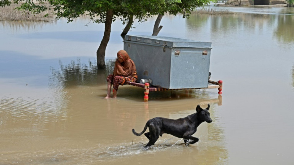 Pakistan: l'esp&eacute;rance engloutie par les inondations dans les villages pauvres du Pendjab