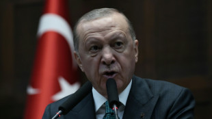 Erdogan: T&uuml;rkei aus dem Iran-Krieg herauszuhalten ist "Priorit&auml;t Nummer eins"