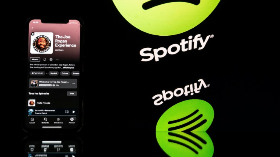 Spotify, un "mal n&eacute;cessaire" pour les artistes moins connus