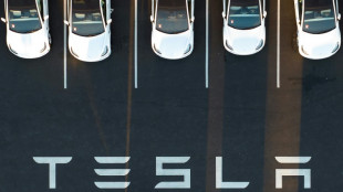 Medien: Umweltrechtliche Genehmigung f&uuml;r Tesla-Werk in Brandenburg steht kurz bevor