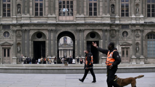La polic&iacute;a busca a los autores del robo en el museo del Louvre