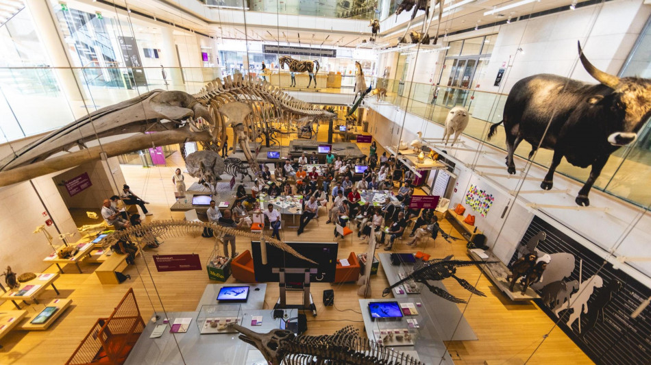 Più di 5 milioni di visitatori al Muse nel 2024