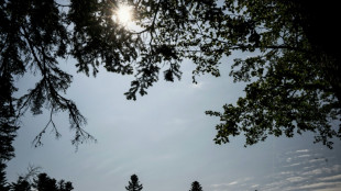 La canicule historique &agrave; peine termin&eacute;e, le mercure s'envole encore et les incendies menacent