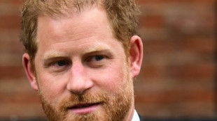 Prinz Harry nimmt ohne Ehefrau Meghan an Kr&ouml;nig von Charles III. teil
