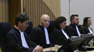 Drei Schuldspr&uuml;che und ein Freispruch in Prozess um MH17-Abschuss