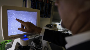 Rigenerato l'alleato del cuore, lo mantiene giovane e sano