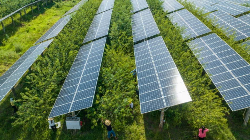 Studie: China baut mehr Anlagen f&uuml;r Wind- und Solarenergie als der Rest der Welt zusammen