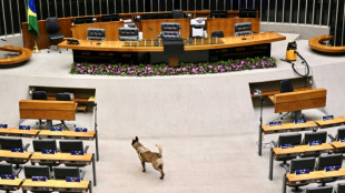 La C&aacute;mara baja de Brasil aprueba una ley para que las redes sociales protejan a los menores