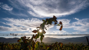 Congreso mundial del vino se celebra en una vi&ntilde;a mexicana en crisis