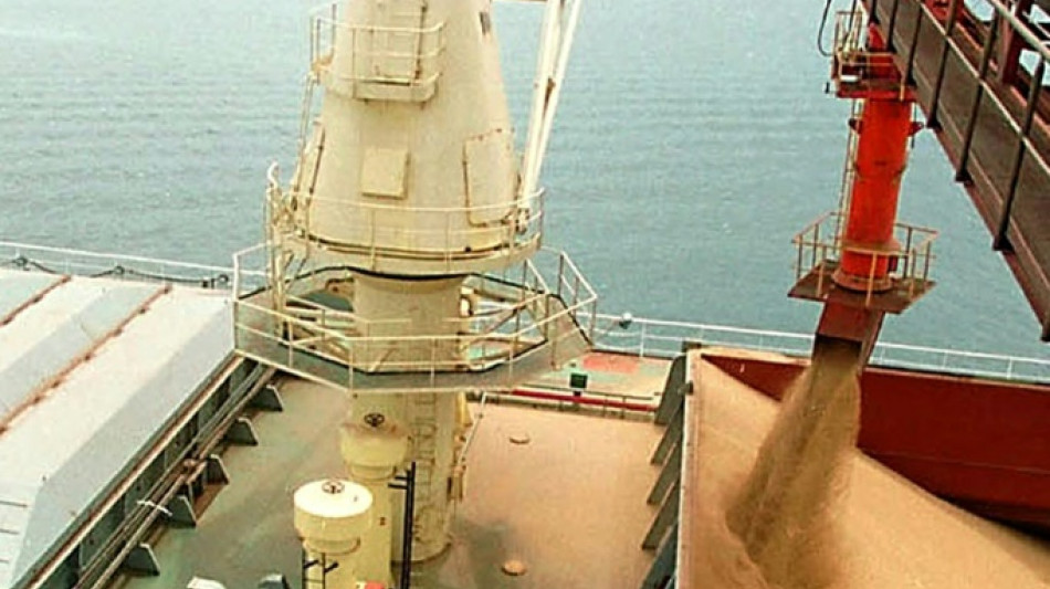 Los agricultores europeos temen quedarse sin soja brasile&ntilde;a para su ganado