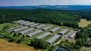 Rep&uacute;blica Checa destruye granja de cerdos construida sobre antiguo campo de concentraci&oacute;n