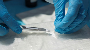 Hamburg: Lange Haftstrafen wegen Schmuggels von mehr als viereinhalb Tonnen Kokain