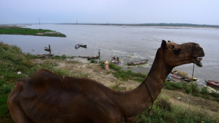 El planeta bati&oacute; el lunes un r&eacute;cord de temperatura diaria, seg&uacute;n las primeras mediciones
