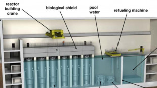 Nucleare, accordo fra Eagles e regolatori su autorizzazioni