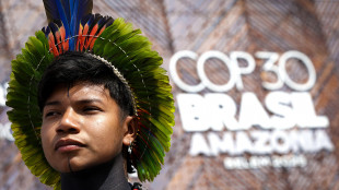 Cop30 approva all'unanimità il Global mutirao