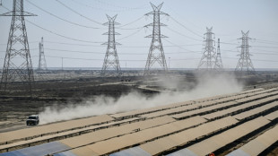 El magnate indio Adani hizo fortuna con el carb&oacute;n y ahora apuesta por las renovables