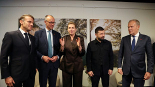 Merz erwartet Entscheidung &uuml;ber russische Verm&ouml;genswerten auf EU-Gipfel in drei Wochen