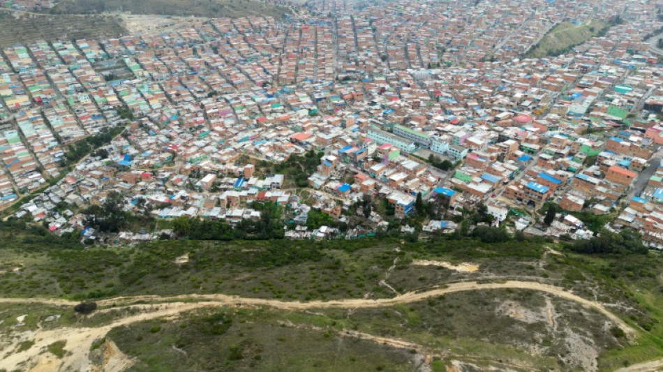 Un eucalipto con una leyenda macabra ser&aacute; patrimonio cultural de Bogot&aacute; 
