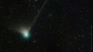 Un cometa cruzar&aacute; el cielo terrestre por primera vez en 50.000 a&ntilde;os