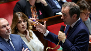 Assembl&eacute;e: le d&eacute;but de l'examen du budget de la S&eacute;cu d&egrave;s jeudi menac&eacute;