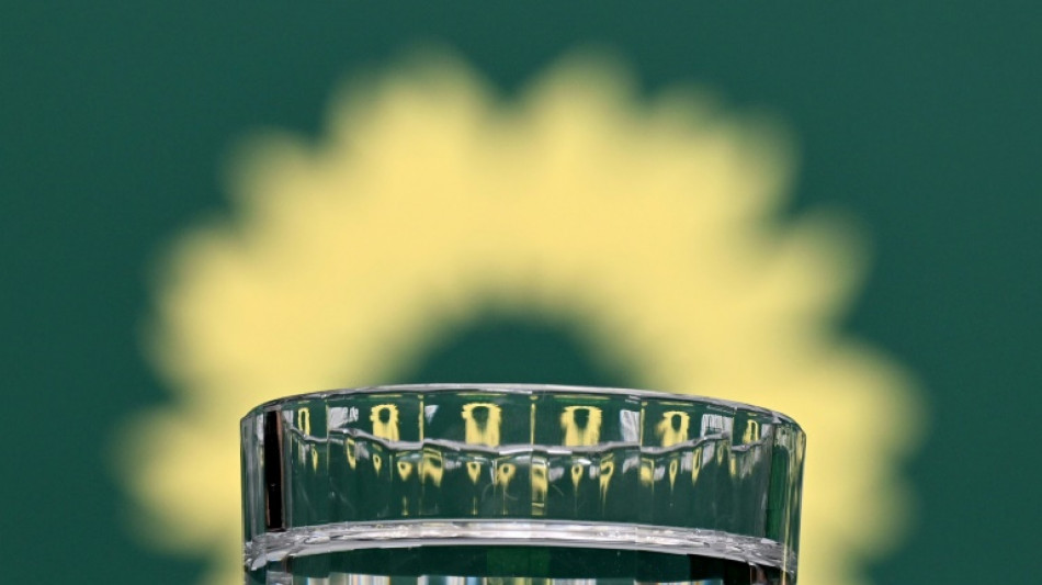 Grüne in Hamburg wählen Abgeordnete Storm und Alam zu neuen Parteichefs