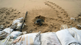 Hurac&aacute;n Hilary amenaza al noroeste de M&eacute;xico y al sur de California