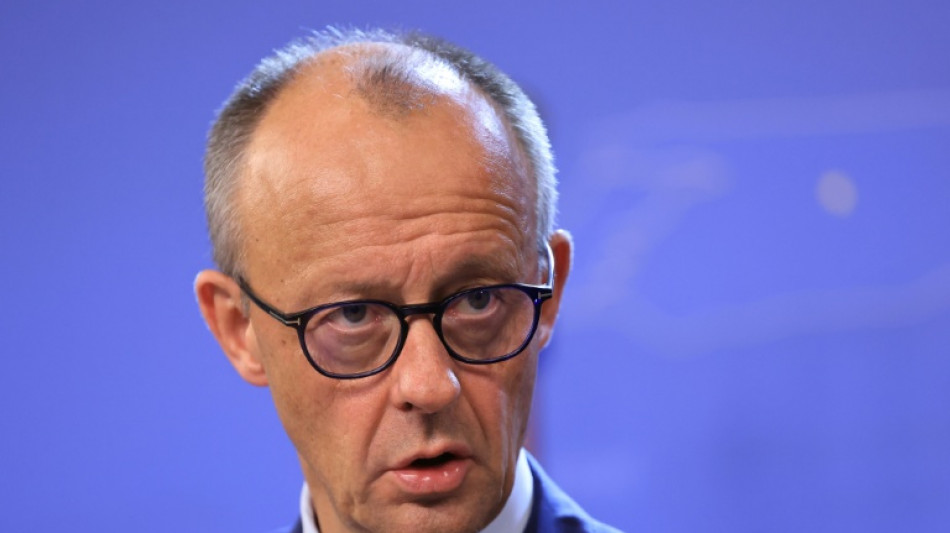 Investors pledge 230 billion euros at German summit: Merz