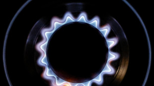Il gas apre in rialzo a sul mercato di Amsterdam (+2,6%)