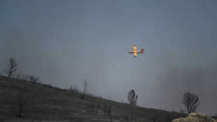 Feux: sur le pourtour m&eacute;diterran&eacute;en, inqui&eacute;tude sur le manque de bombardiers d'eau