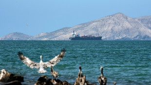 Cierran playas al este de Venezuela por derrame de petr&oacute;leo 