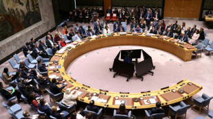 UN Security Council set to vote on international force for Gaza