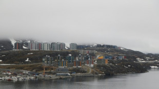 NATO ally Denmark warns US against taking Greenland by force