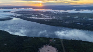 How a Brazilian chief is staving off Amazon destruction