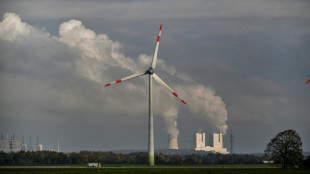 Stromerzeugung mit Erneuerbaren bis Juni voraussichtlich um 5,4 Prozent gesunken