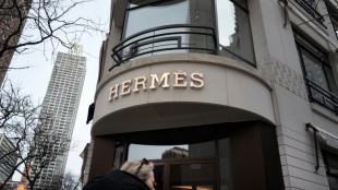 Hermes to hike US prices to offset tariff impact