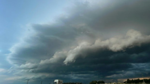 Milei elimina organismos estatales en Argentina antes de que venzan sus poderes especiales