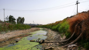 Irak: les réserves d'eau au plus bas depuis 80 ans, selon le gouvernement