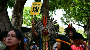 El Congreso de Brasil avanza en la restricción a la demarcación de tierras indígenas